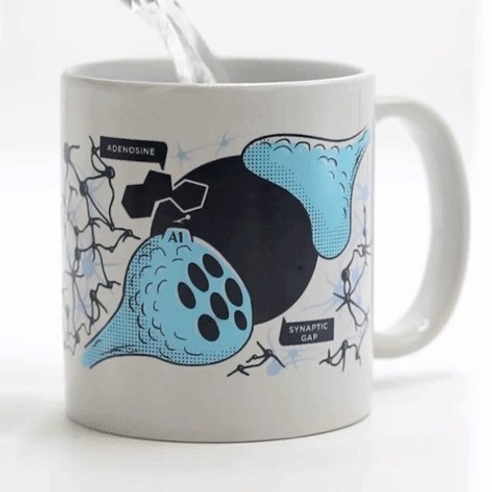 Color Changing Mug by Cognitive Surplus Ceramic Caffeine and Your Brain
